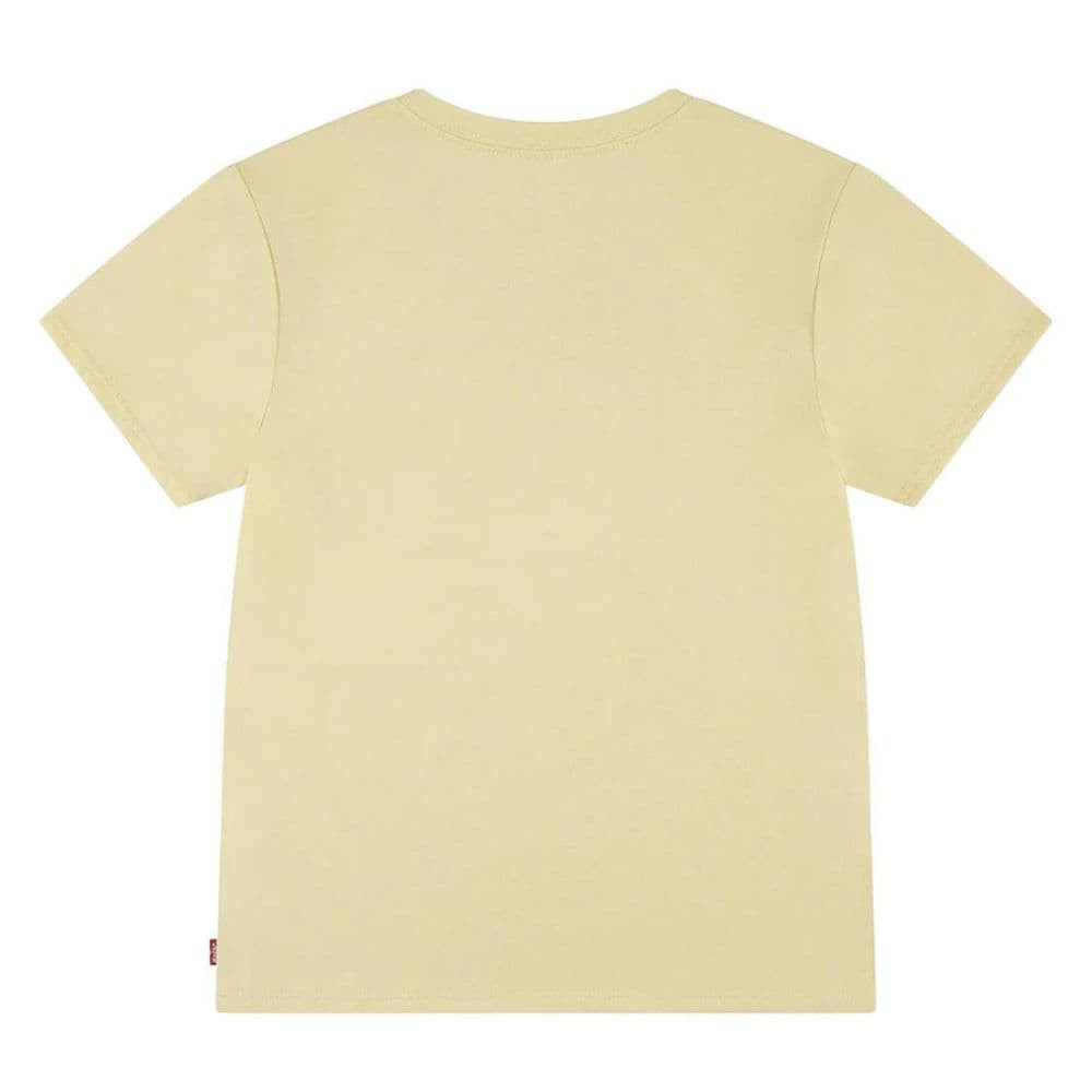 Футболка Levi's BATWING TEE