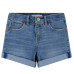 Шорты LVG GIRLFRIEND SHORTS