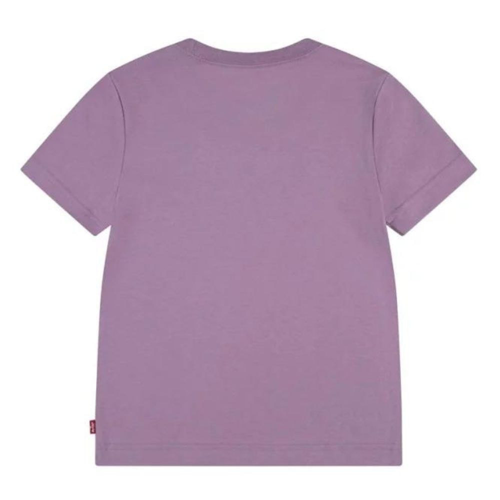 Футболка Levi's BATWING TEE