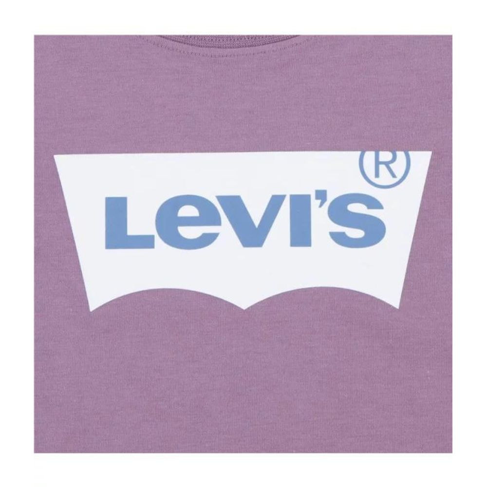 Футболка Levi's BATWING TEE