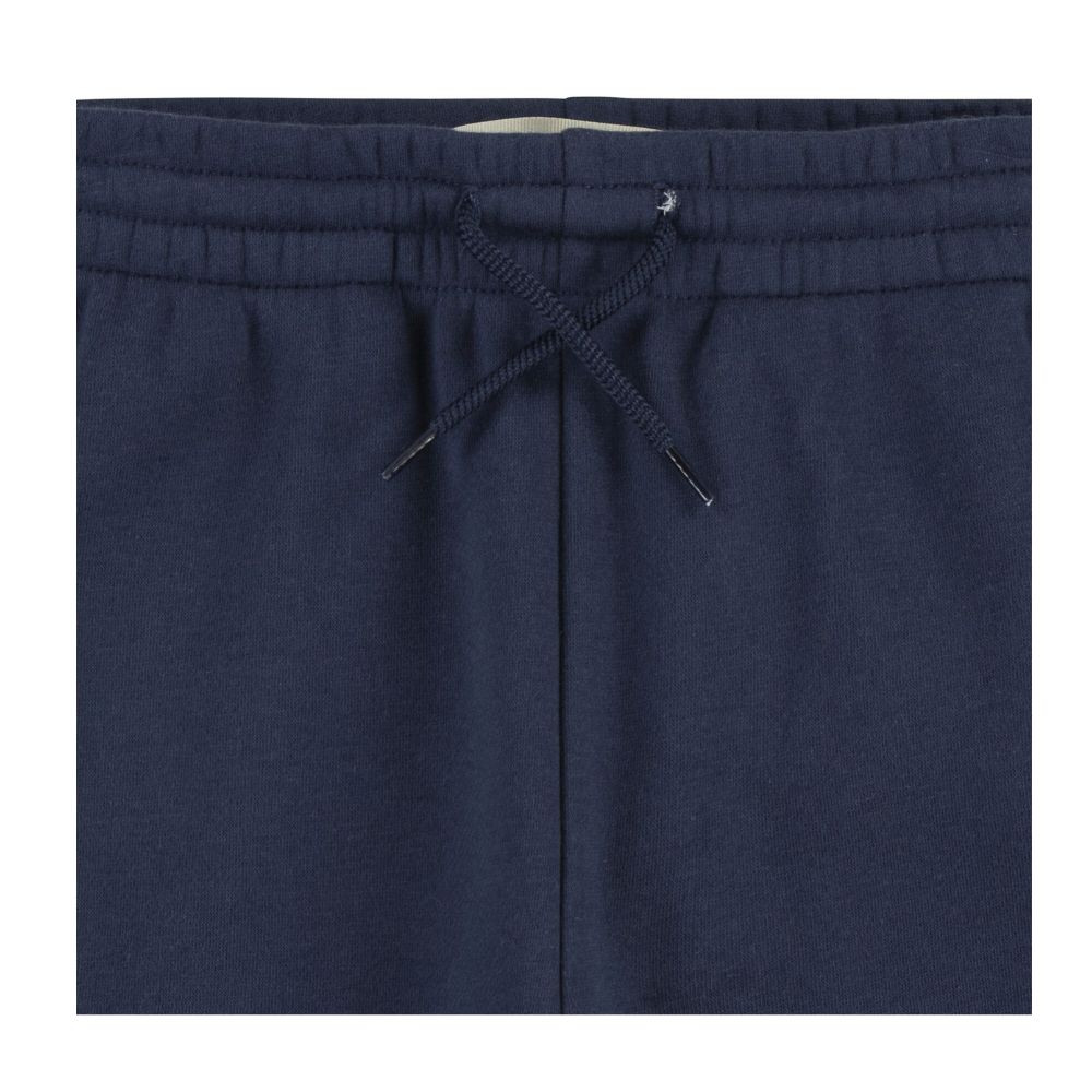 Штани на флісі Levi's LVN BOXTAB JOGGER
